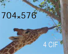 4cif
