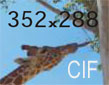 cif